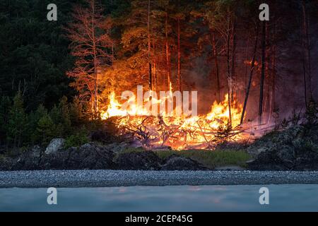 Intensive Flammen von einem massiven Waldbrand in der Nacht. Die Flammen leuchten nachts auf, während sie durch die Wälder vor dem Hintergrund des Bergdai wüten Stockfoto