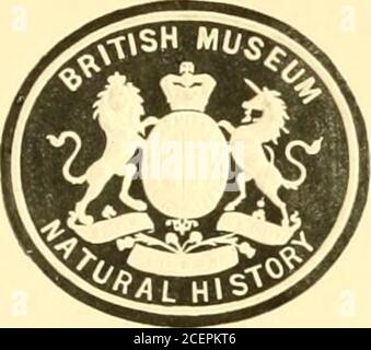 . Katalog der Lepidoptera Phalænæ im britischen Museum. SAMMLUNG VON William Schaus © PRÄSENTIERT AN DAS Nationalmuseum MCMV. PI^ESS^TBO DES BRITISH MUSEUM. KATALOG A R C T I A D ^E (AUCTIAN.^:) A G A R I S T I) JE C O L L ]^] C TI O X BRITISH MUSEUM. Sir GEORGE F. HAMPSON, Bart. LONDON: SPITZ KY ORDEN DER TREUHÄNDER. VERKAUFT VON LONGMANS & CO., 39 PATEKNOSTER ROW, Z. B. ;B. QUAKITCH, 15 PICCADILLY, W.; DULAU & CO., 37 SOHO SQUAKK, W.; KKCIAN PAUL, GRABEN, TRUBNER & CO., CHARING CROSS ROAD, W.C.; UND AN DER BFFLTISH .MUSKU.U (NATURGESCHICHTE), CROMWELL ROAD, S. W. 1901. PKIKTF.B VON TAT Stockfoto