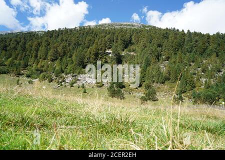 Wanderwege im Bayerischen Wald im Frühling Stockfoto