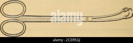 . Krankenpflege in der Bauchchirurgie und Erkrankungen von Frauen. Trokar und Kanüle. Abb. 18. Volsella. STERILISATION VON INSTRUMENTEN, ETC. 91 Zangenzangen oder große Druckzangen, gerade. Abb. 19. Stockfoto