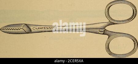 . Krankenpflege in der Bauchchirurgie und Erkrankungen von Frauen. Skalpelle. Messer. Hämostatik oder Druckzange. Abb. 14. Druckzange. Gerillter Regisseur. Abb. 15. Stockfoto