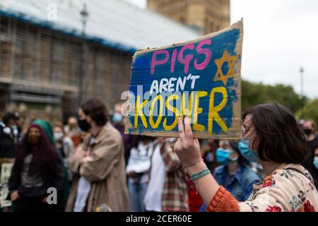 Protestschild bei der Black Lives Matter Demonstration, London, 29. August 2020 Stockfoto