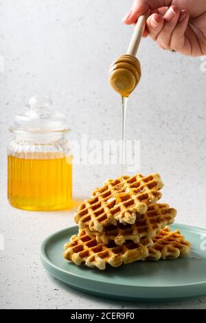 Selektiver Fokus, belgische Zuckerwaffeln mit Blumenhonig auf einem blauen Teller Stockfoto