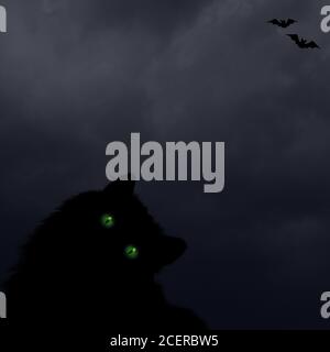 Halloween horizontaler Hintergrund mit schwarzer Katze mit grünen Augen, Silhouetten von Fledermäusen auf dunklen gruseligen Nacht wolkigen Himmel. Halloween, Horror und Dekoration Stockfoto