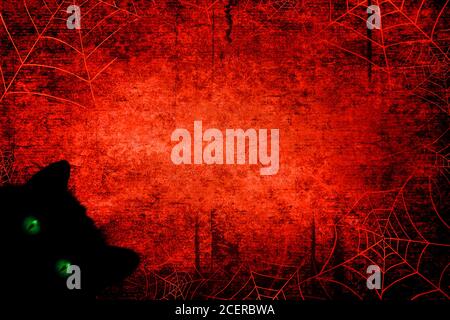 Halloween schwarz blutig roten Hintergrund mit schwarzer Katze mit grünen Augen, Silhouetten von Spinnennetzen auf dunklen gruseligen Nachthimmel. Halloween, Horror-Konzept. Stockfoto