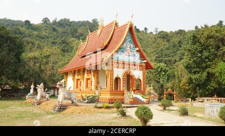 Ländliche exotische Dschungellandschaften in der Nähe von Pha Tang Stadt in Laos. Stockfoto