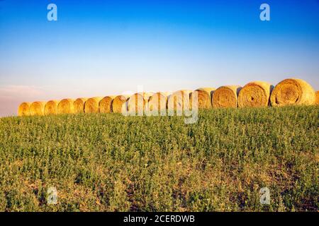 In San Quirico d'Orcia - Italien - am 2020. august - Landschaft der toskanischen Landschaft mit Stapel von Weizenstroh In einem Feld Stockfoto