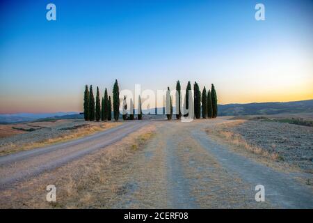 In San Quirico d'Orcia - Italien - am 2020. august - Zypressenbaumreihe in der toskanischen Landschaft bei Sonnenuntergang Stockfoto