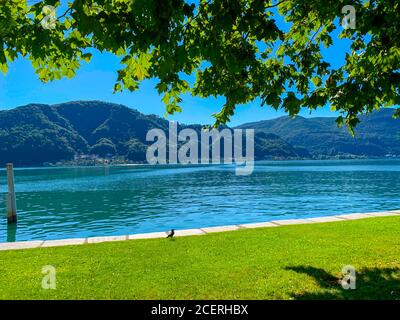 Waterfront on Alpine Lake Lugano with MountainIn a Sunny Say in Caslano, Tessin in in der Schweiz. Stockfoto