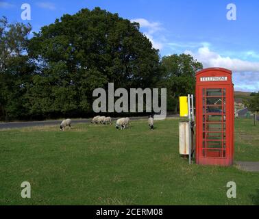 Goathland, North Yorkshire, Vereinigtes Königreich - August 27 2014: Eine Herde Schafe weiden im Dorf. Stockfoto