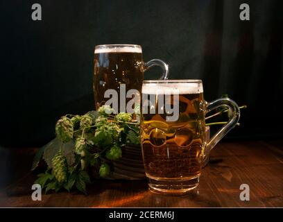 Glas Bier mit Hopfenpflanze auf dunklem Hintergrund Stockfoto