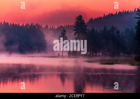 Rauch über einem wunderschönen Bergsee bei Sommeranbruch Stockfoto