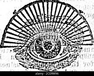 . Täglicher Kolonist (1900-11-16). WIR PASSEN IHR AUGE WC OT Ihr eveabsolutely. WEDO nicht Kucss. Aber wissen, was Isnecess.Trv. Wenn Sie in Trou-ble mit youreycslcht sind. c A 1und konsultieren ns, Prüfungenfrei. 15 Jahre scxoerlen-se. Blyth! WISSENSCHAFTLICHER OPTIKER. 05 Fort Street In Der Nähe Der Doucla Street. Stockfoto