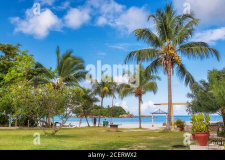 Palmen am schönen Touristenstrand auf der Insel Praslin, Seychellen Stockfoto