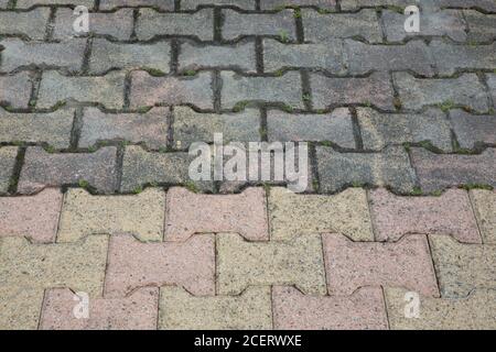 Unterschied zwischen sauberen Zufahrt autoblocking Platten und schmutzig nach a Hochdruckdüse Stockfoto