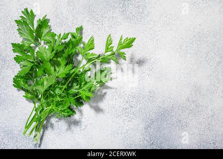 Flachblättrige Petersilie (Petroselinum crispum) Blätter auf grauem texturierten Hintergrund mit Kopierbereich, Draufsicht Stockfoto