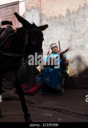 Esel passiert Musiker sitzen Sammelplatz spielen Gnawa Musik auf einem Gimbi (aka sintir) auf einer Straße innerhalb der Medina, Marrakesch. Stockfoto
