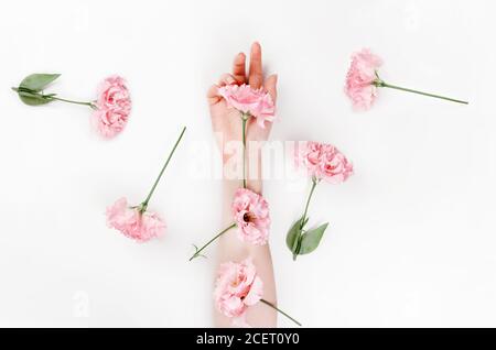 Eine zarte weibliche Hand, auf der sich Blumen von rosa eustoma befinden. Weißer Hintergrund. Flach liegend. Das Konzept der Floristik und Zärtlichkeit. Stockfoto