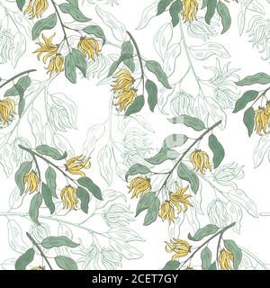 Cananga Ylang-Ylang Grafik Farbe nahtlose Muster Skizze Illustration Vektor Stock Vektor