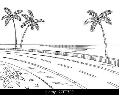 Straße Straße Grafik Palme schwarz weiß Landschaft Skizze Illustration vektor Stock Vektor