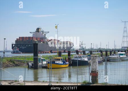 Doel, Belgien, 18. Mai 2020, das Schiff MSC MADELEINE ist ein Containerschiff, gebaut im Jahr 2006 und segelt unter der Flagge von Panama Stockfoto