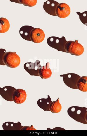 Muster von vielen verschiedenen Kürbissen mit einem harten Schatten auf einem grauen Hintergrund. Halloween-Konzept Stockfoto