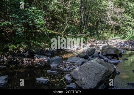 Flusslauf übersät mit Felsen mit Wasserfall im Siegerland Stockfoto