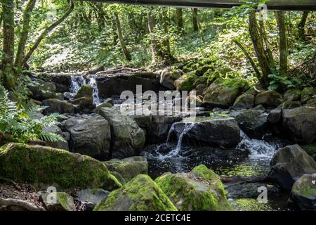 Flusslauf übersät mit Felsen mit Wasserfall im Siegerland Stockfoto