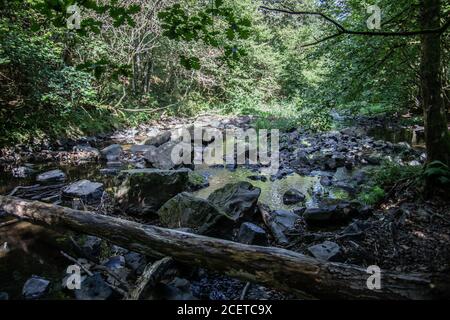 Flusslauf übersät mit Felsen mit Wasserfall im Siegerland Stockfoto