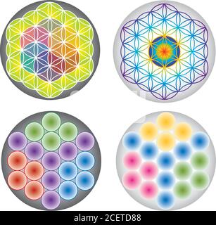 Set von Blume des Lebens Symbole / Symbole Multicolor und Regenbogenfarben Stock Vektor