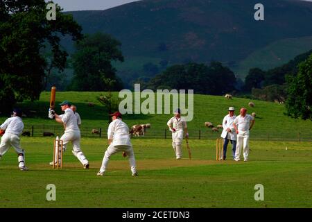 Dorf Cricket Spiel Bolton Abbey; Yorkshire UK Stockfoto