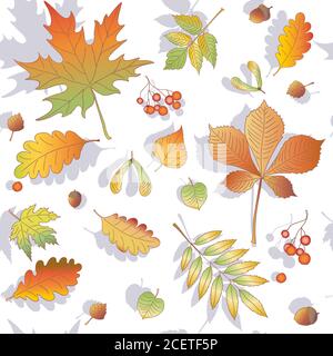 Herbst und Blätter. Bild von Baumblättern, graphisches Bild von Blättern, naturalistische Farbbilder, solide Hintergrundbilder, Vektor, Illustration Stock Vektor