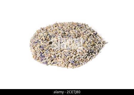 Haufen von medizinischen Lavendel Kräuterblüten isoliert auf weißem Hintergrund. Vorderansicht, Nahaufnahme Stockfoto