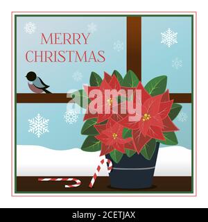 Weihnachtskarte im flachen Stil. Anschauliche Illustration mit gestreiften Zuckerstöcken und einer Weihnachtssterne. Ein Fenster mit Blick auf einen frostigen Urlaubmorgen mit schönen Schneeflocken und Gimpelfinken. Poster für Grüße, Partys, Verkäufe oder Web-Anzeigen. Chirstmas Simple Typography Grußposter Stock Vektor