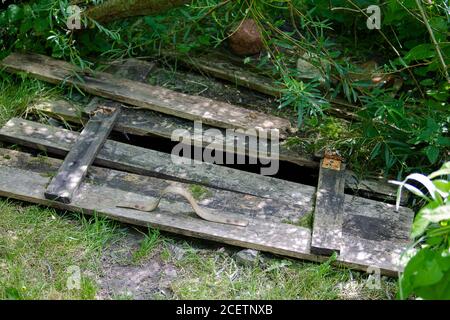 Alte Brunnenschacht mit Holzbohlen bedeckt. Mit viel Grün überwuchert. Stockfoto