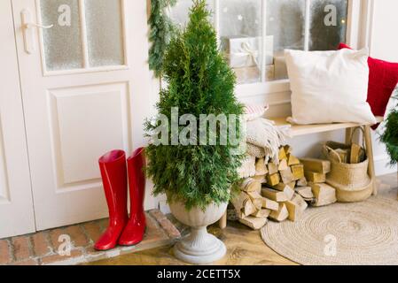 Tuya statt Weihnachtsbaum in einer Vase steht neben der Eingangstür zum Haus oder auf der Veranda. Rote Gummistiefel. Eine Bank mit Holz darunter Stockfoto