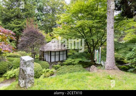 Malerische Ecke des Japanischen Gartens mit Teehaus in Tatton Park, Großbritannien. Stockfoto