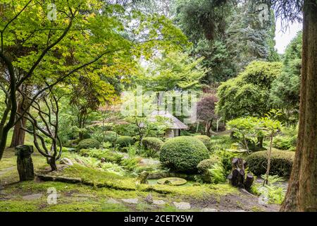 Malerische Ecke des Japanischen Gartens mit Teehaus in Tatton Park, Großbritannien. Stockfoto