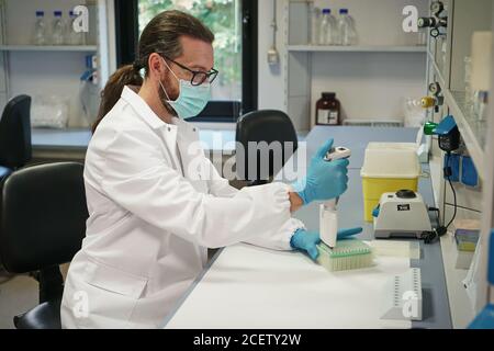 Bei der Arbeit im molekularbiologischen Labor zur Abstrichanalyse für den SARS-COV2-Virusnachweis. Turin, Italien - September 2020 Stockfoto