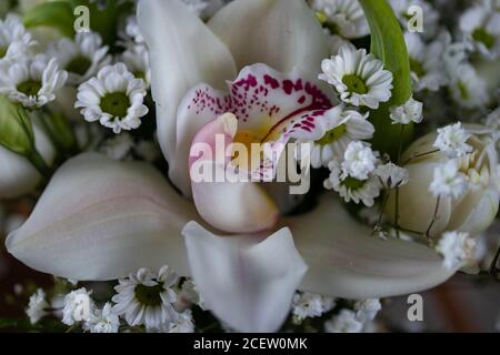 Nahaufnahme, Makroblumensträuße mit Orchidee und weißen Blumen. Heilige Kommunion, Hochzeit. Stockfoto