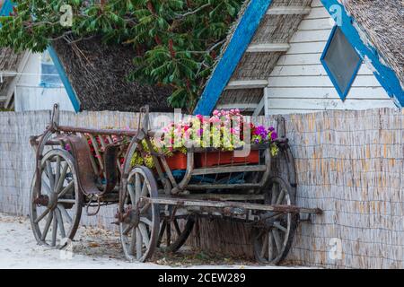 Alte Vintage Kutsche mit Blumen Stockfoto