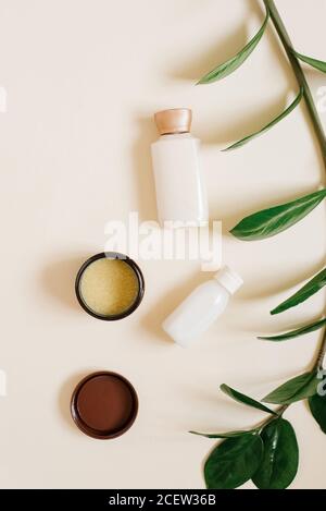 Das Konzept der pflanzlichen, organischen Kosmetik. Flaschen mit Körper- oder Gesichtscreme, fester Kakaobutter in einem offenen Glas und einem Zweig einer tropischen Pflanze auf Stockfoto