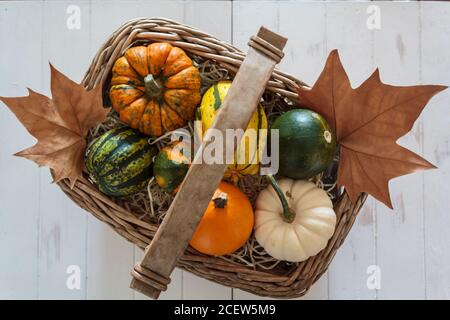 Draufsicht auf Korb mit Kürbissen und trockenen Herbstblättern Stockfoto