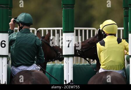 Jockies an den Starttoren vor dem Betway Novice Stakes auf der Rennbahn Lingfield Park. Stockfoto