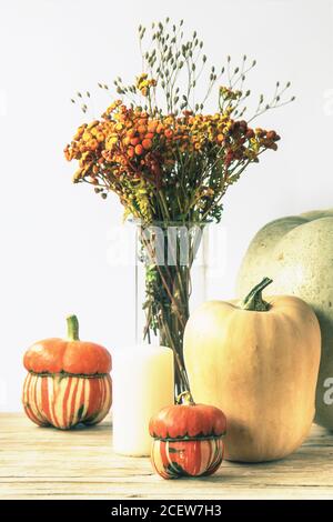 Herbst-Layout mit Kürbissen, Kerze und Orangenblüten in Vase. Weißer Hintergrund, Nahaufnahme. Stockfoto