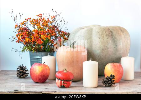 Herbst-Layout mit Kürbissen, Kerzen und Orangenblüten in Vase. Weißer Hintergrund, selektiver Fokus. Stockfoto