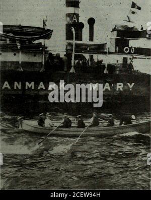 . Hardware Merchandising März-Juni 1919. S sie wereto die alliierten Armeen. Fünfzig Prozent der Männer, die sich wieder an Winnipeg wandten, seien mit der sowjetischen Regierung dort unsympathisch. Wir können es hier nicht haben, aber die Kapziegen und Neer-do-Brunnen gravitateto den größeren Zentren. Sie sagen: "Wir waren im Ausland und jetzt sind wir zurück.wir werden Drohnen im Bienenstock sein.Alle Ehre den anderen Männern, die die Arbeit des Wiederaufbaus beleben. Leider, in den größeren Städten, Montreal, Vancouver, Winnipeg, etc., Thesoldiers jetzt nach Hause nicht zu ihrer Verantwortung im Zusammenhang mit reconstruct realisieren Stockfoto