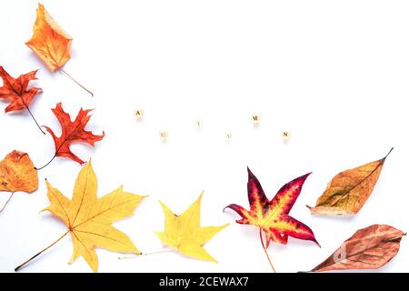 Herbstliches Gelbes Laub auf weißem Hintergrund, Wort Herbst, flaches Lay, Kopierraum. Stockfoto