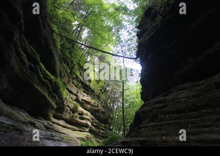 Der French Canyon im Hungered Rock State Park, Illinois. Stockfoto