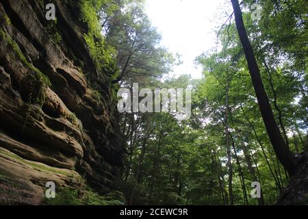 Blick nach oben vom Inneren des French Canyon auf Hungered Rock State Park in Illinois. Stockfoto